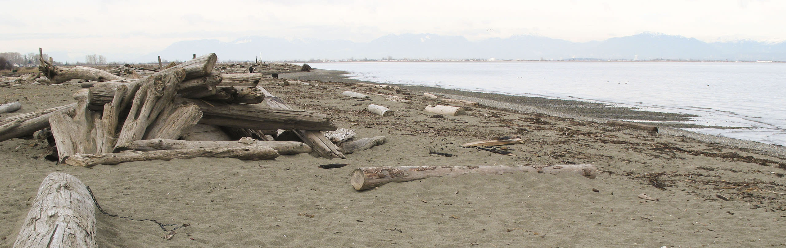 The beach area along Boundary Bay