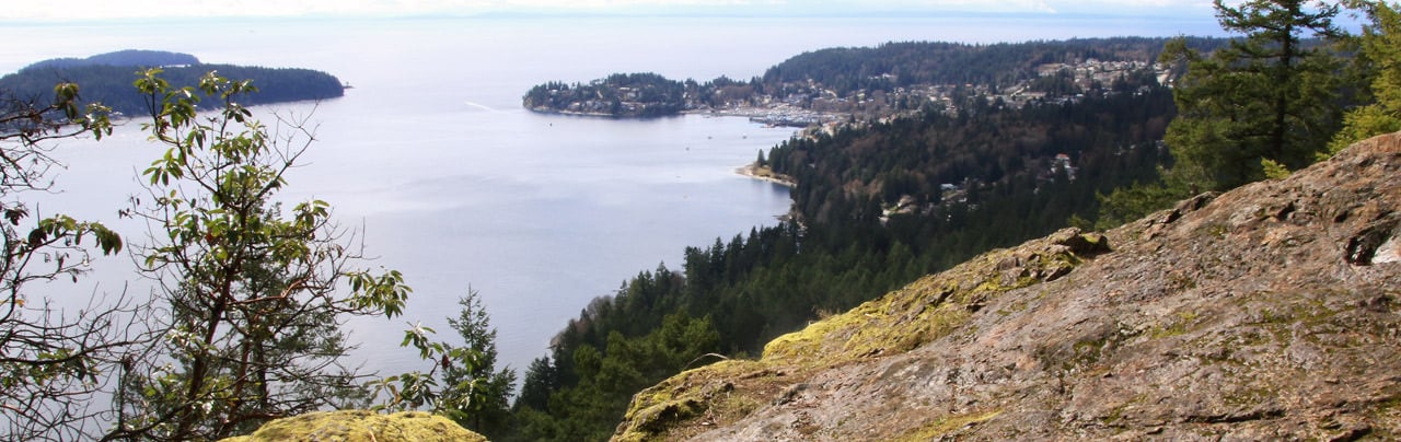 A view of Gibsons from Soames Hill