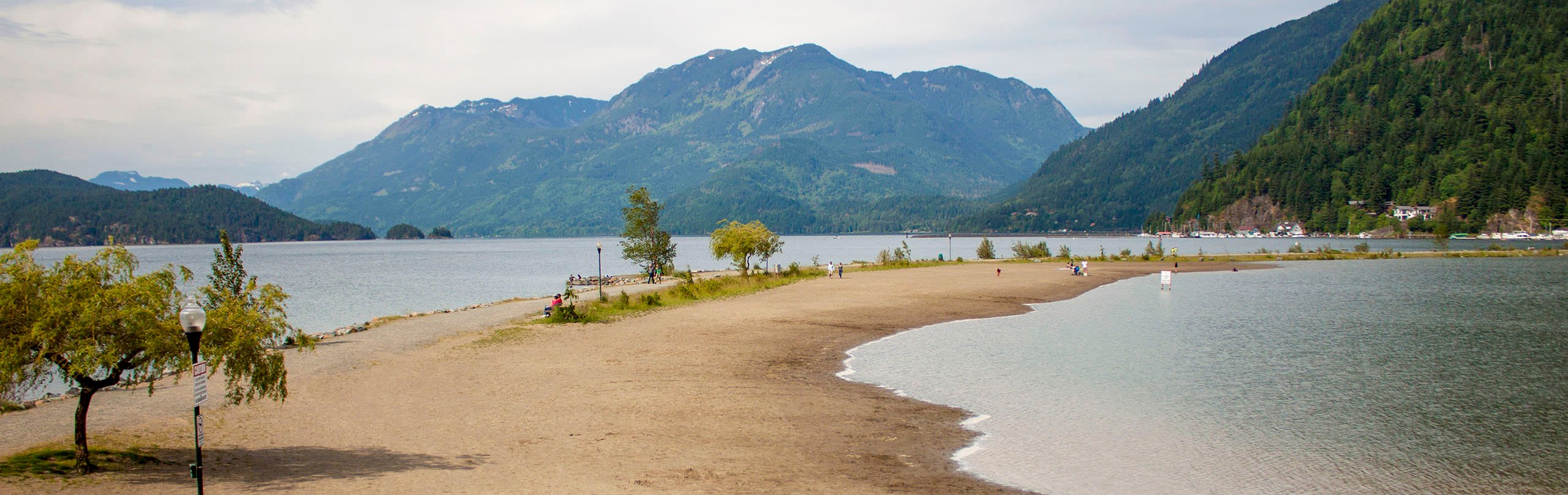 A view of the beach and Harrison Lake