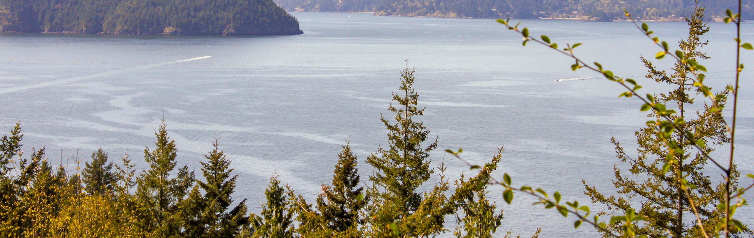 A view of Howe Sound from Lions Bay