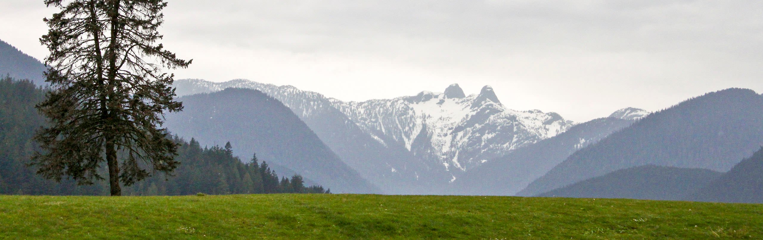 The view towards the Lions from the Cleveland Dam area