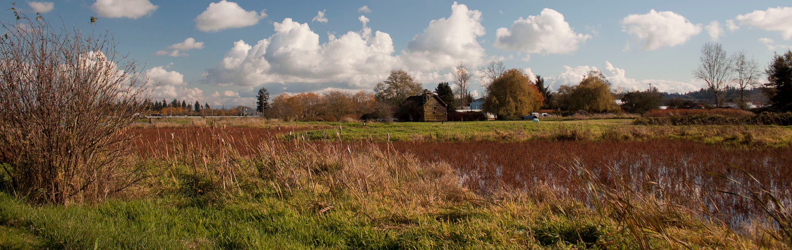 The area of Surrey near Serpentine Fen