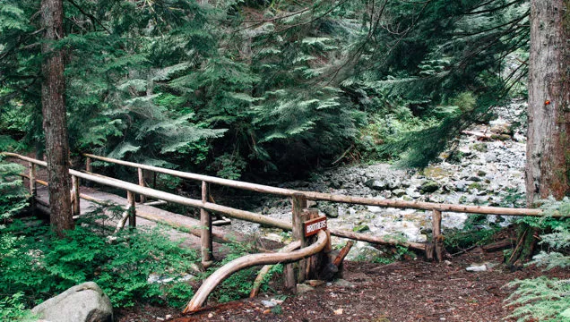 Brothers Creek Loop hike in West Vancouver | Vancouver Trails