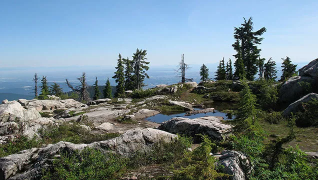 Goat Mountain hike at Grouse Mountain in North Vancouver, BC | Vancouver  Trails