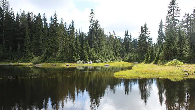 goldie lake best fall hikes in vancouver