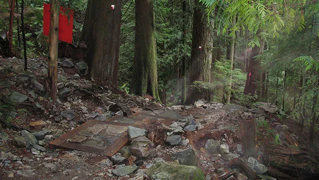 grouse mountain bike trails