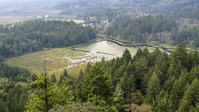 Minnekhada Regional Park Coquitlam