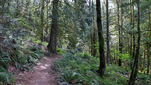 Seven Sisters Trail at Cultus Lake | Vancouver Trails