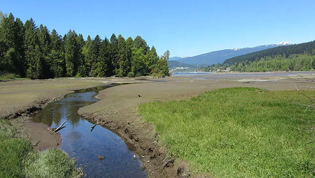 Shoreline Trail at Rocky Point in Port Moody | Vancouver Trails