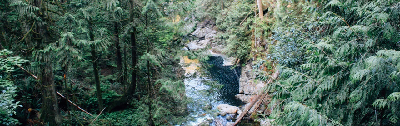 Baden Powell Deep Cove to Lynn Canyon