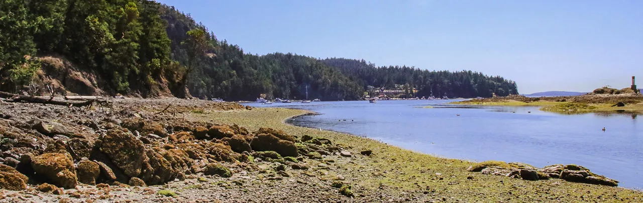 Beaumont Marine Park