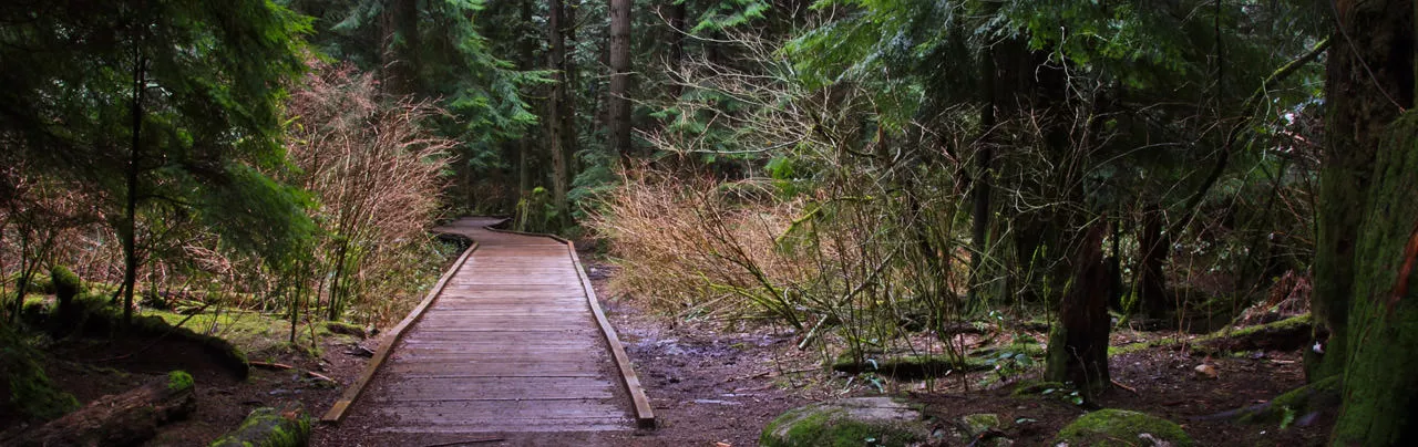 Bert Flinn Park