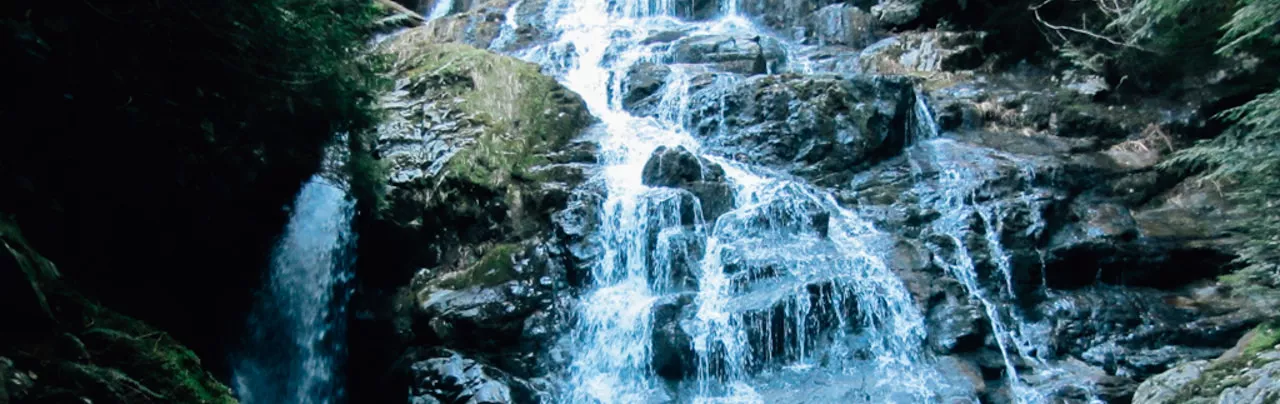 Big Cedar and Kennedy Falls Trail