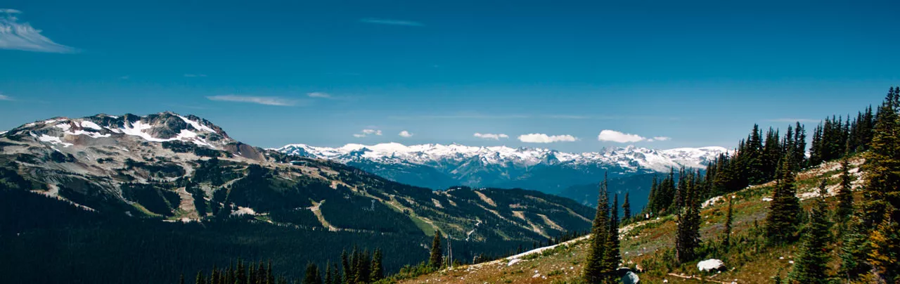 Blackcomb Meadows