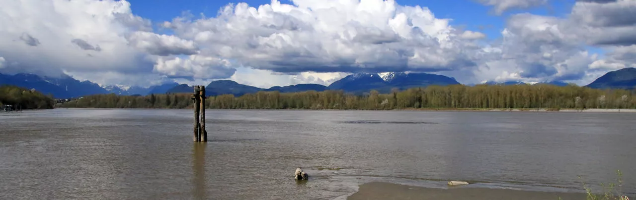 Brae Island Regional Park