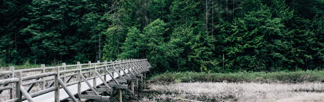 The bridge across Brohm Lake