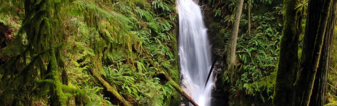 Burnett Falls