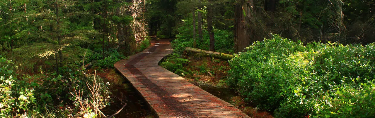 Burns Bog Delta Nature Reserve