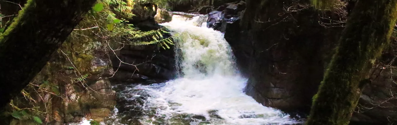 Chapman Falls