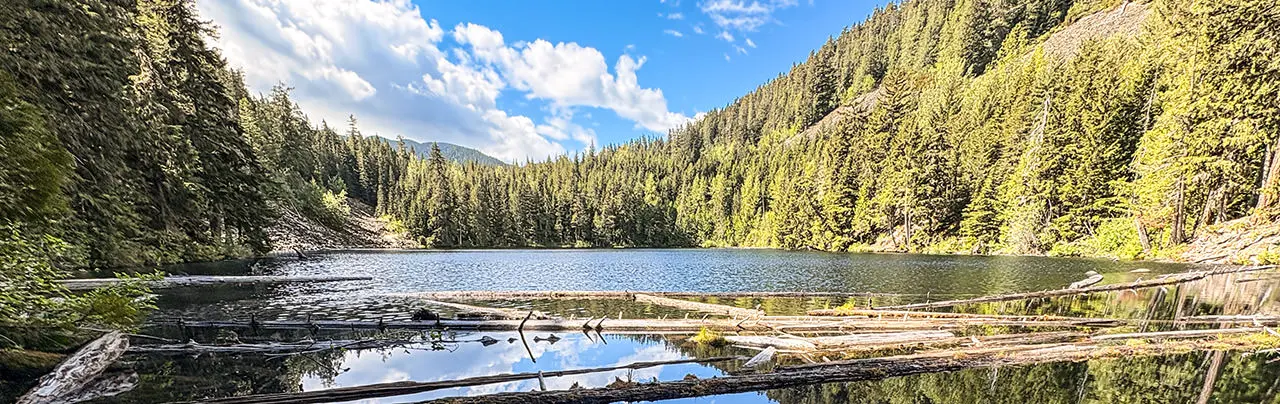 Cheakamus River Loop and Loggers Lake