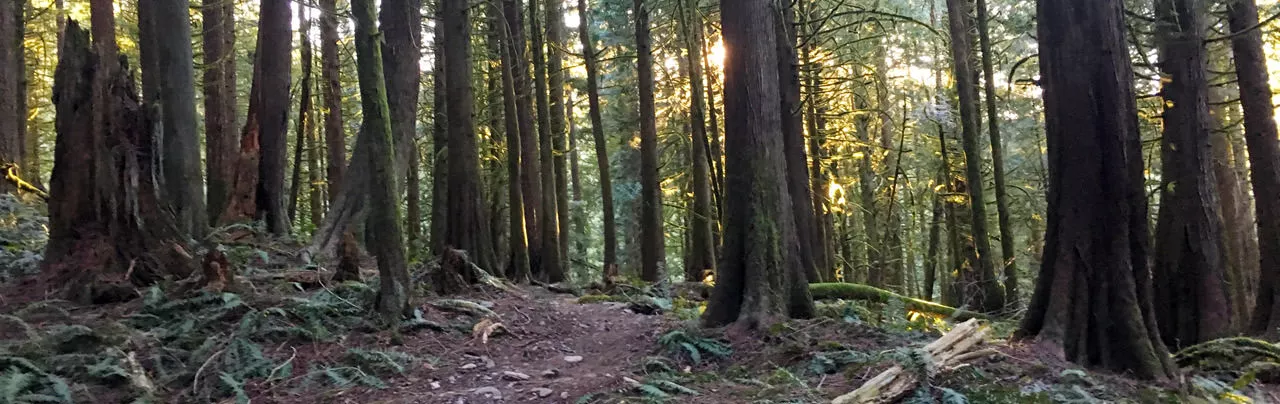 Chilliwack Community Forest