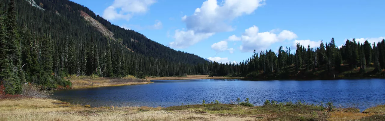 Conflict Lake