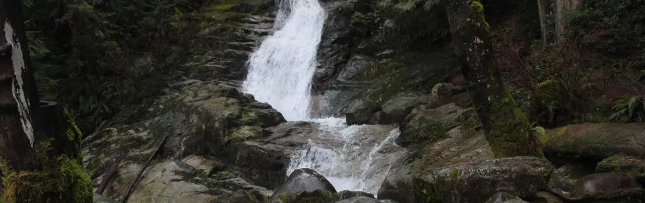 Crystal Falls