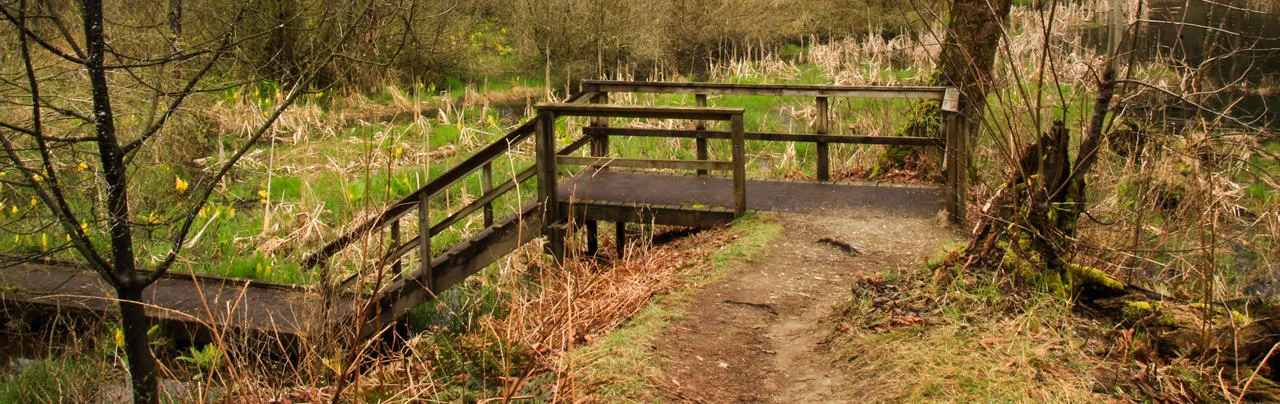 Downes Bowl Trail