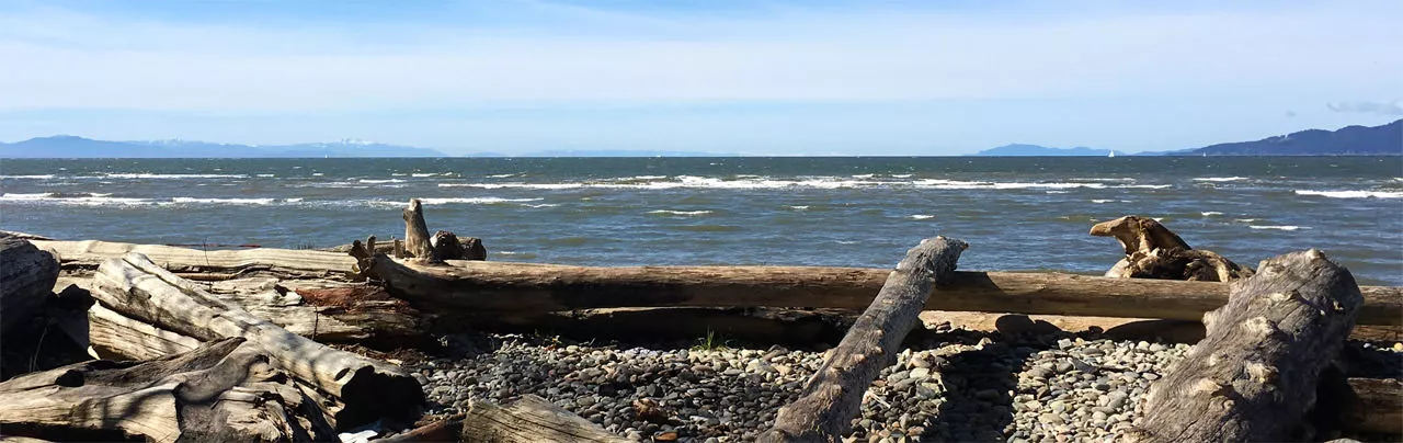 Foreshore Trail