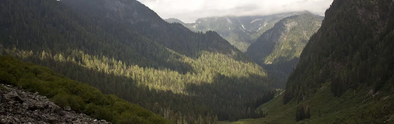 Hanes Valley Trail
