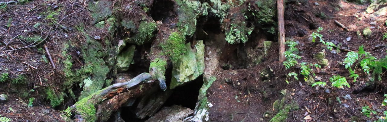 A Cave along the Homesite Caves Trail