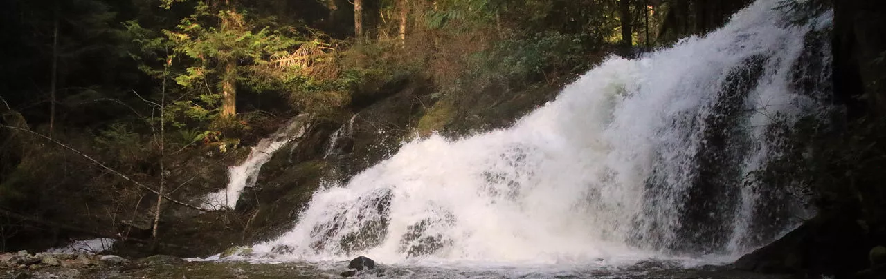 Homesite Creek Falls