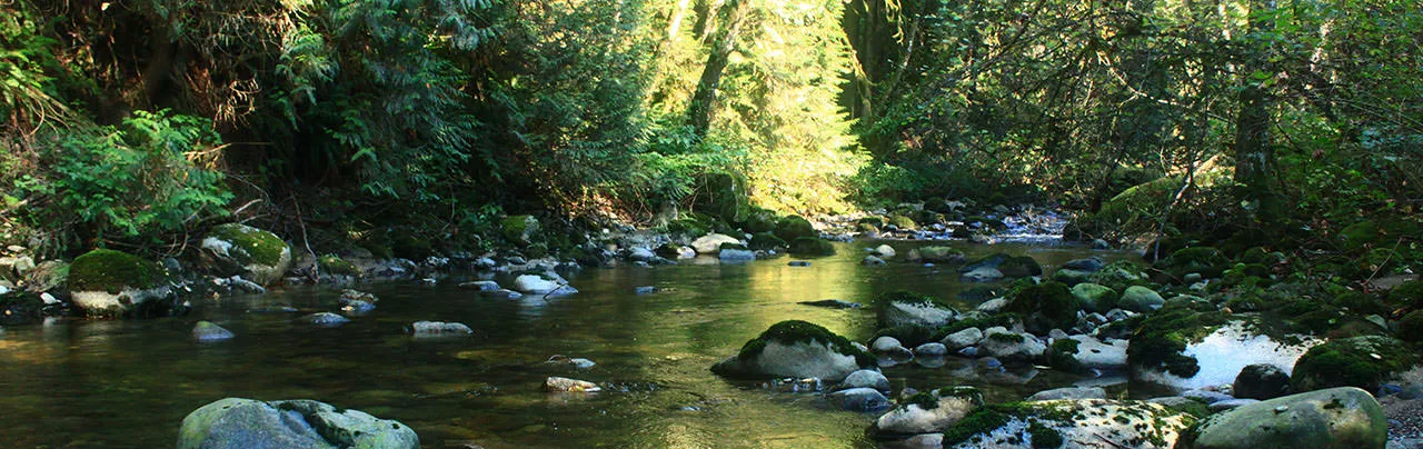 Kanaka Creek Cliff Falls