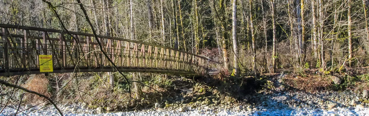 Lower Lynn Creek