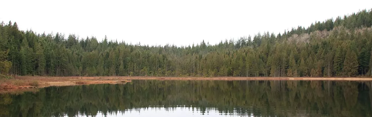 Mike Lake