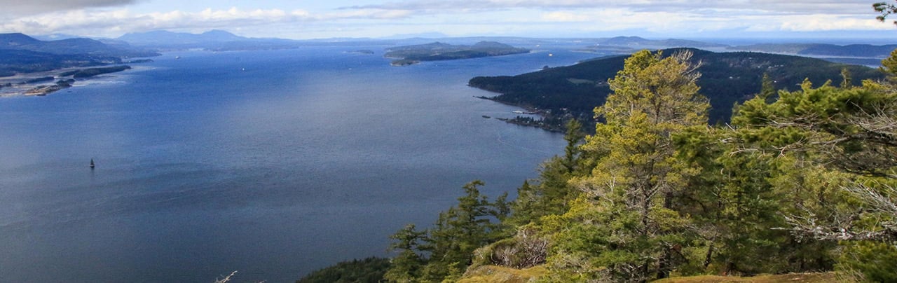 Mount Erskine