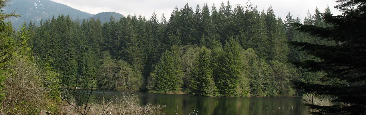 Rice Lake