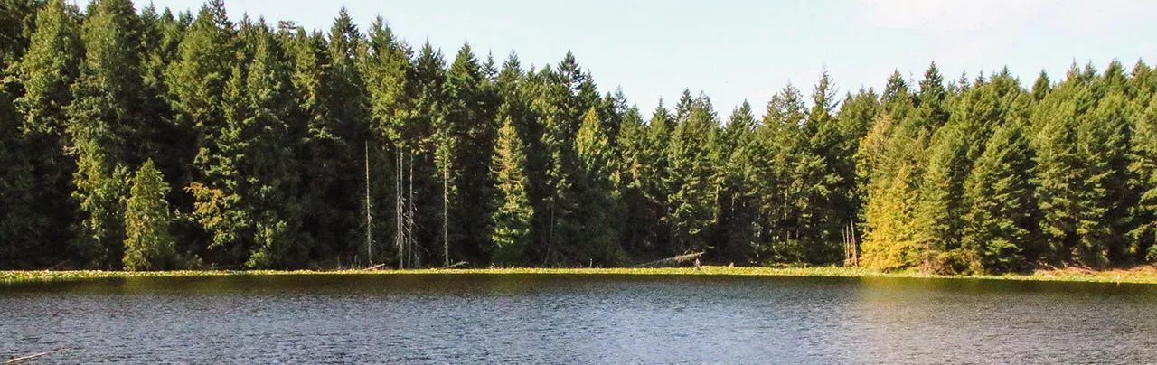 Roe Lake
