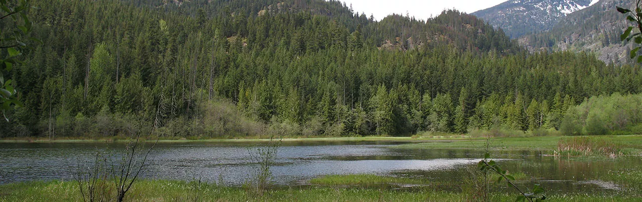 Shadow Lake
