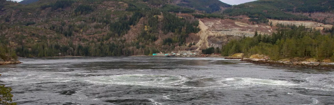 Skookumchuck Narrows