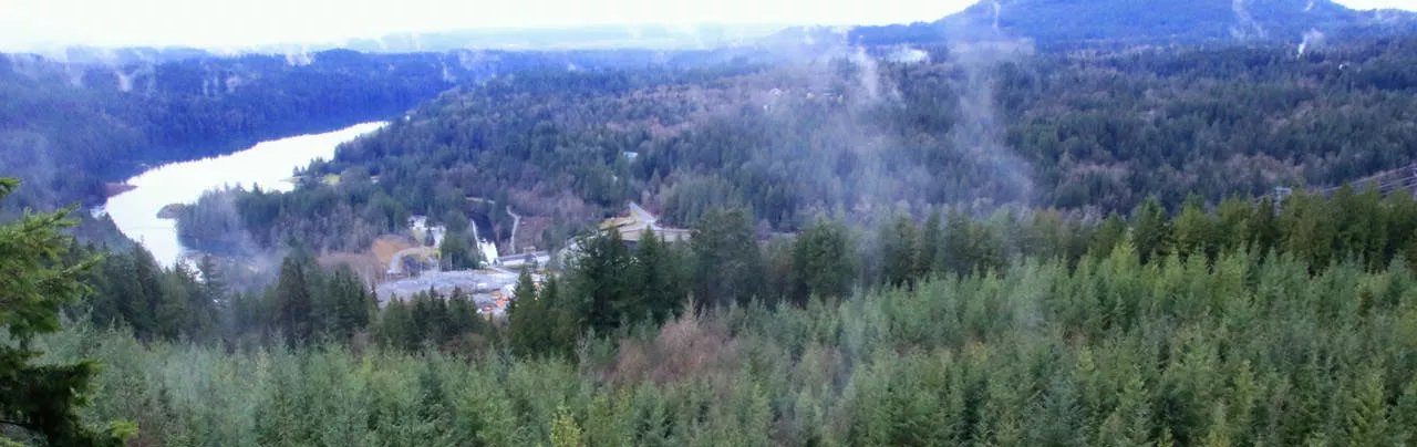 Stave Dam Forest Interpretation Forest