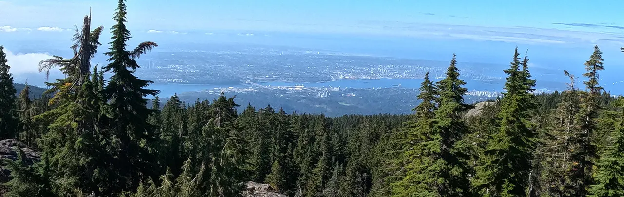 Suicide Bluffs