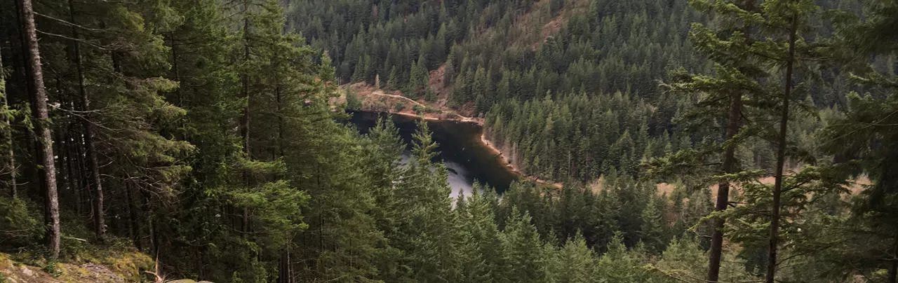 Swan Falls Viewpoint