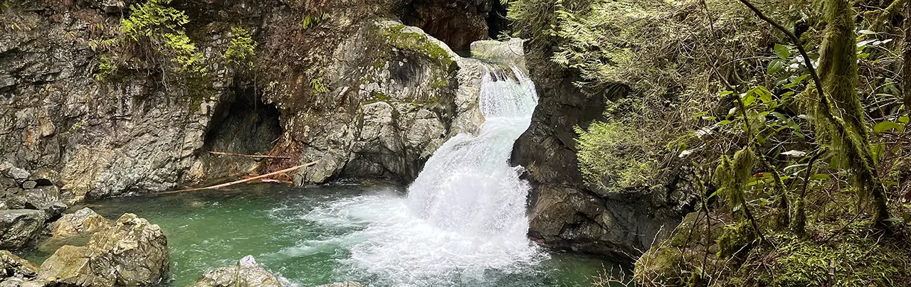 Twin Falls