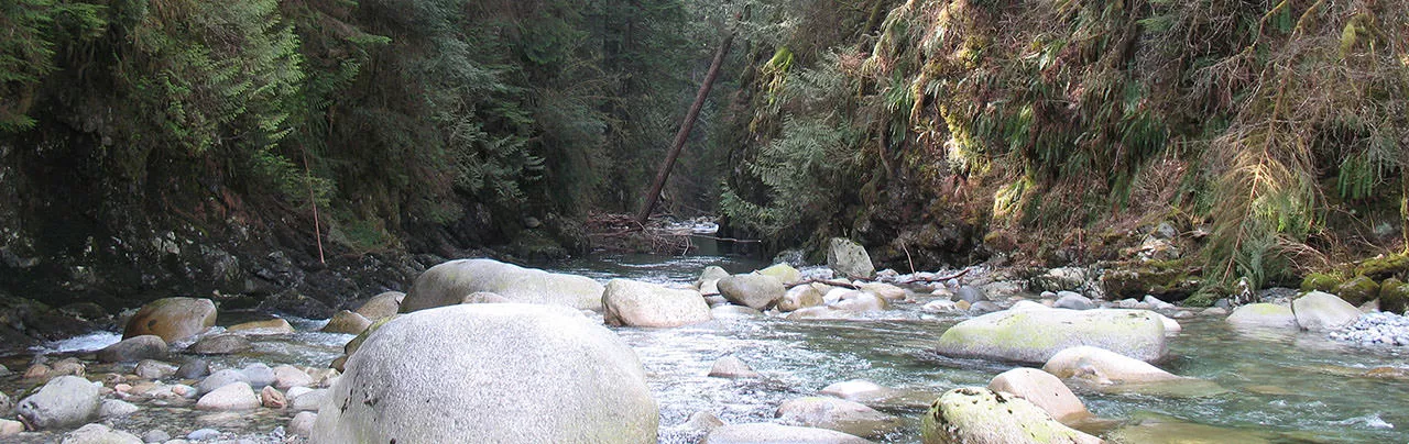 Two Canyon Loop
