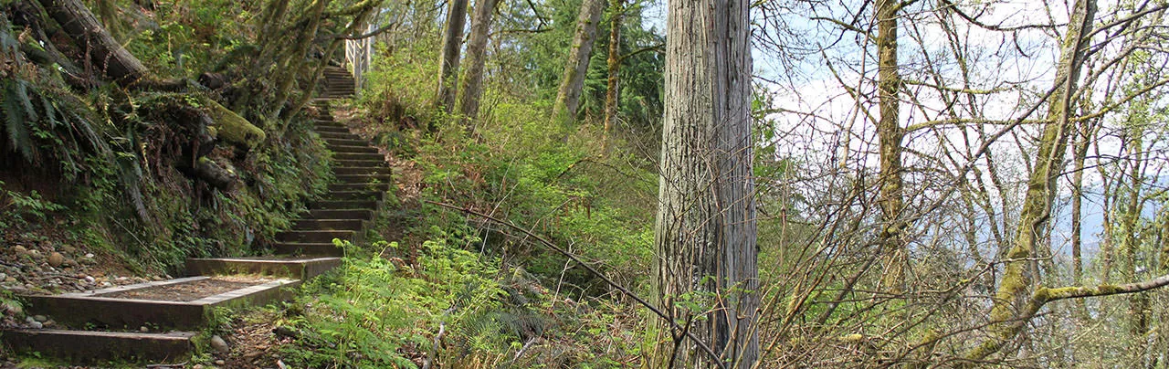 Velodrome Trail