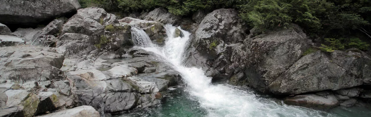 Widgeon Falls
