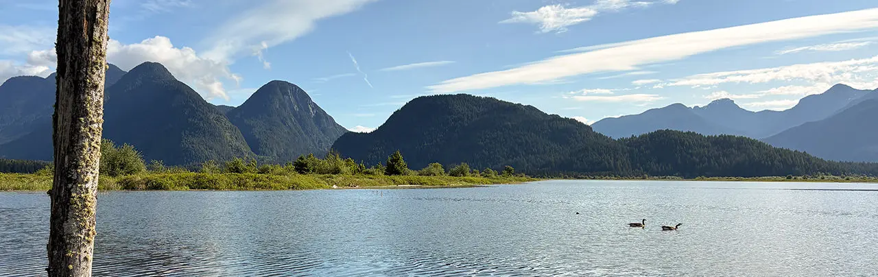 Widgeon Marsh