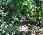 The steep, narrow trail up the Abby Grind