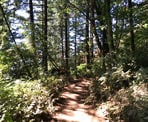 The Abby Grind offers a good workout hike to a viewpoint